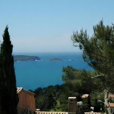Beau T3 Au Mont Des Oiseaux Apartment Hyères Екстериор снимка